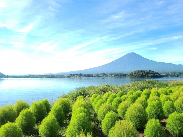 河口湖のお土産で、旅の思い出をシェアしよう！