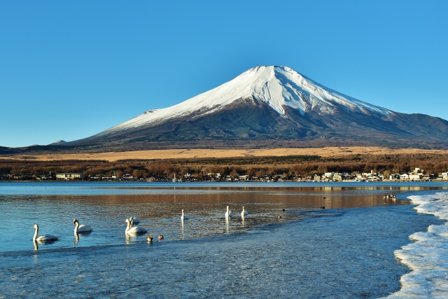 【山中湖村】sotosotodays CAMPGROUNDS山中湖みさき