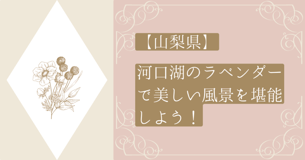 【山梨県】河口湖のラベンダーで美しい風景を堪能しよう！